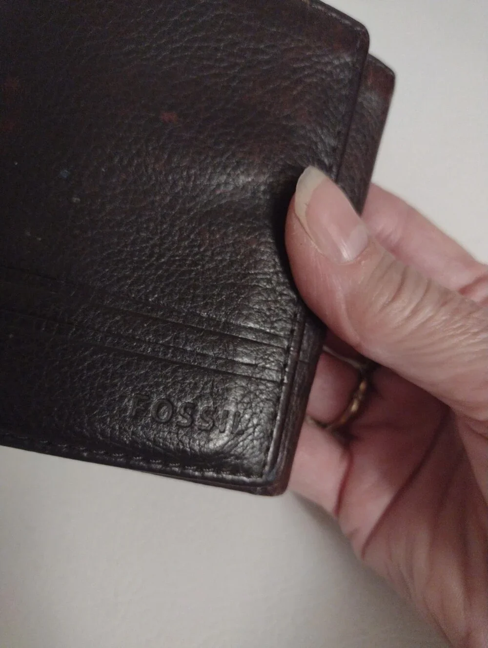 Fossil compact brown